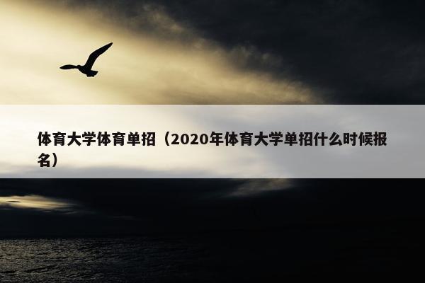体育大学体育单招（2020年体育大学单招什么时候报名）