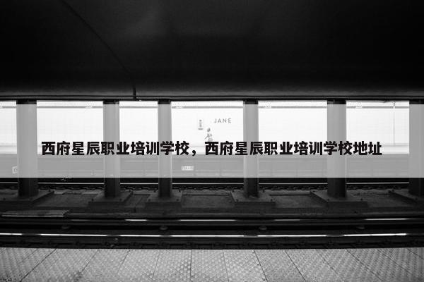 西府星辰职业培训学校，西府星辰职业培训学校地址