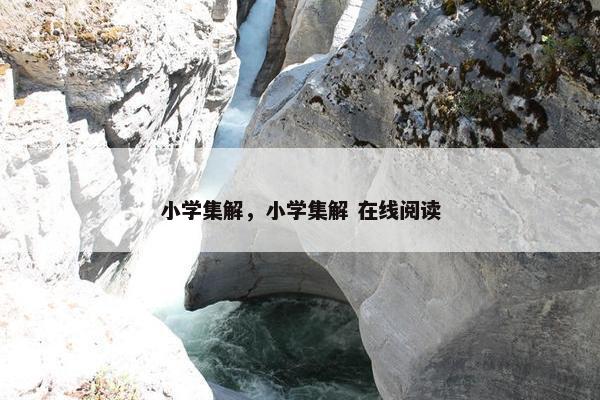 小学集解，小学集解 在线阅读