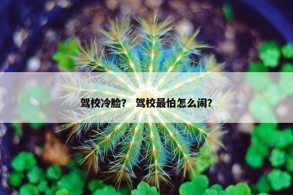 驾校冷脸？ 驾校最怕怎么闹？