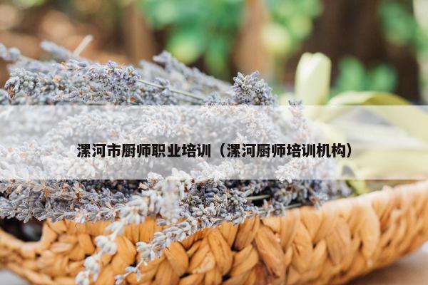 漯河市厨师职业培训（漯河厨师培训机构）