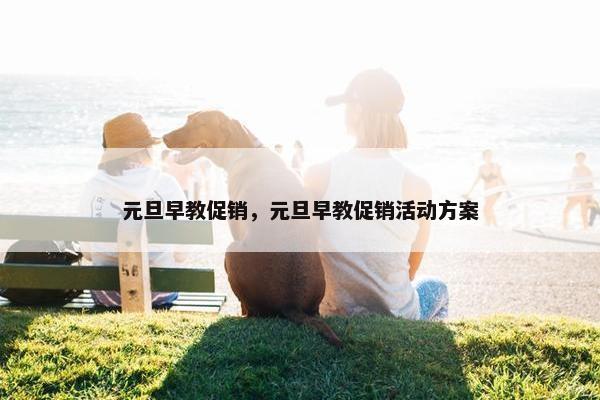 元旦早教促销，元旦早教促销活动方案