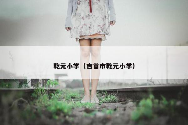 乾元小学（吉首市乾元小学）