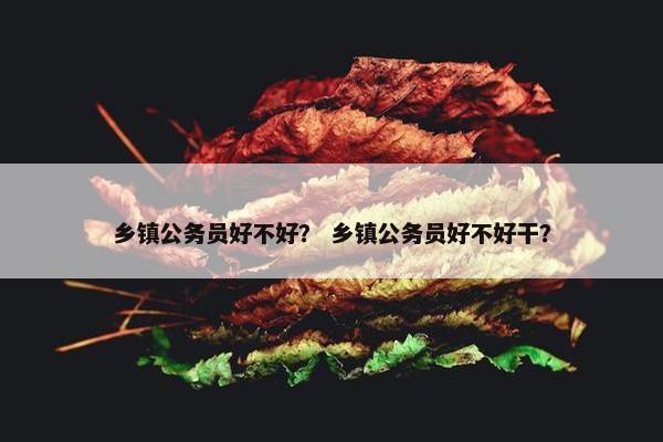 乡镇公务员好不好？ 乡镇公务员好不好干？