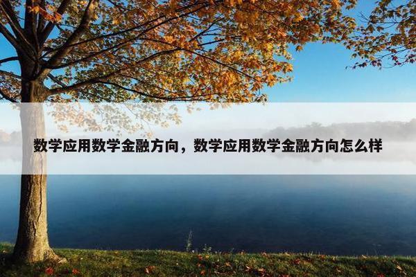 数学应用数学金融方向，数学应用数学金融方向怎么样