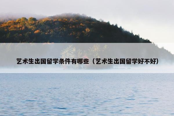艺术生出国留学条件有哪些（艺术生出国留学好不好）