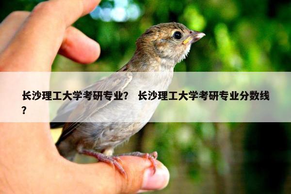长沙理工大学考研专业？ 长沙理工大学考研专业分数线？