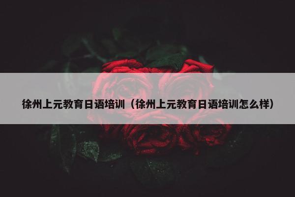 徐州上元教育日语培训（徐州上元教育日语培训怎么样）