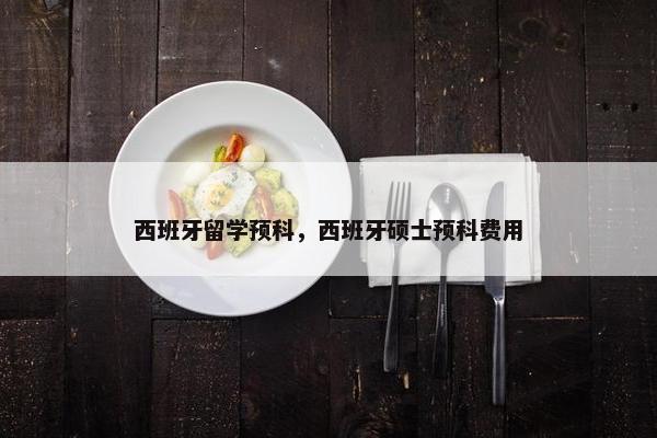 西班牙留学预科，西班牙硕士预科费用