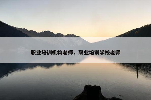 职业培训机构老师，职业培训学校老师