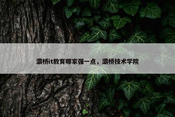 灞桥it教育哪家强一点，灞桥技术学院