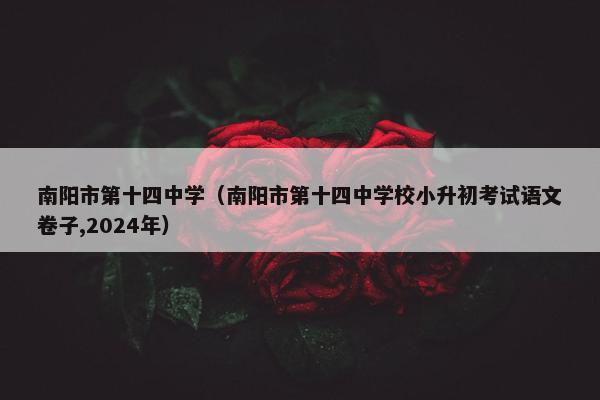 南阳市第十四中学（南阳市第十四中学校小升初考试语文卷子,2024年）