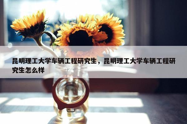昆明理工大学车辆工程研究生，昆明理工大学车辆工程研究生怎么样