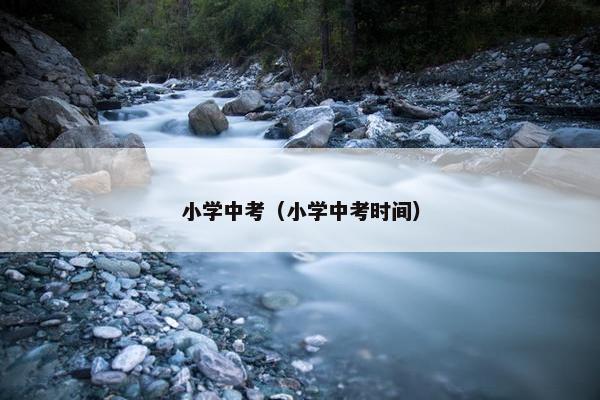 小学中考（小学中考时间）