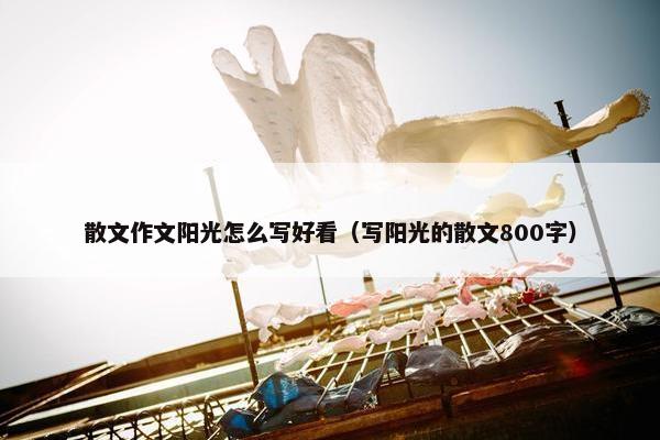 散文作文阳光怎么写好看（写阳光的散文800字）