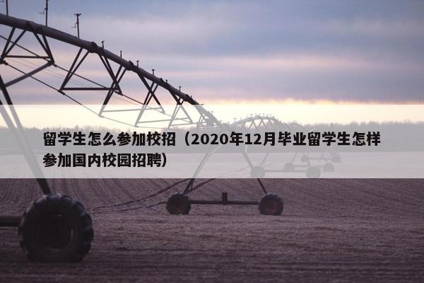 留学生怎么参加校招（2020年12月毕业留学生怎样参加国内校园招聘）