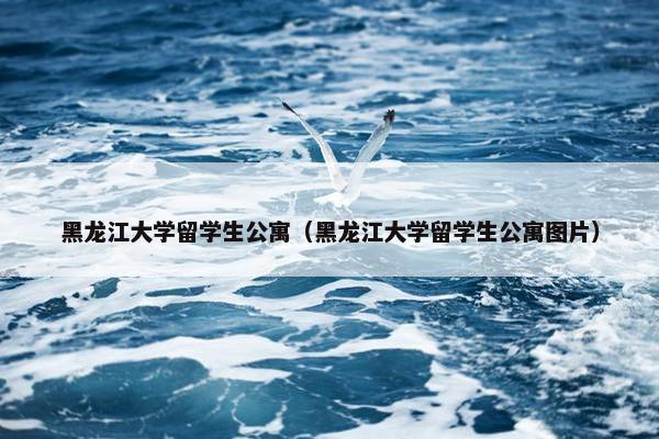 黑龙江大学留学生公寓（黑龙江大学留学生公寓图片）