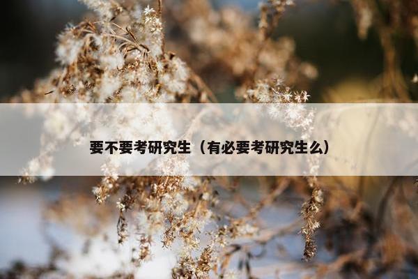 要不要考研究生（有必要考研究生么）