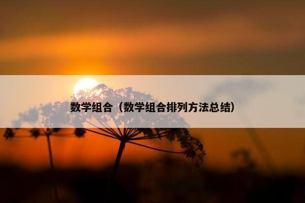 数学组合（数学组合排列方法总结）