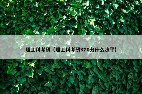 理工科考研（理工科考研370分什么水平）