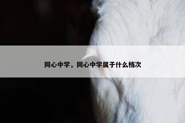 同心中学，同心中学属于什么档次