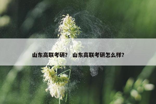 山东高联考研？ 山东高联考研怎么样？