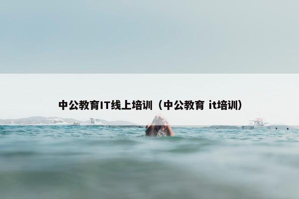 中公教育IT线上培训（中公教育 it培训）