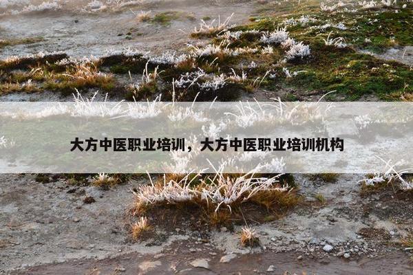 大方中医职业培训，大方中医职业培训机构