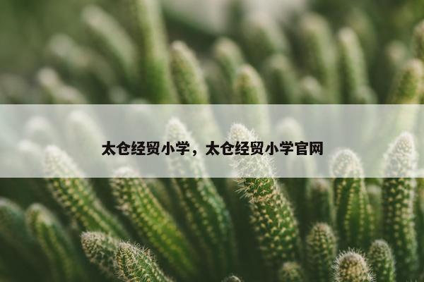 太仓经贸小学，太仓经贸小学官网
