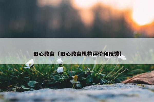 田心教育（田心教育机构评价和反馈）