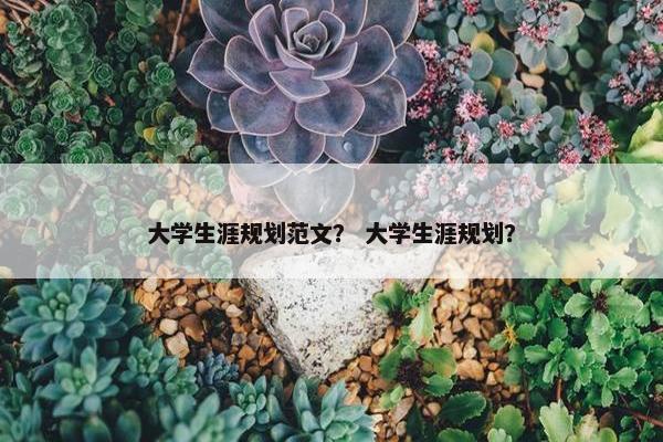 大学生涯规划范文？ 大学生涯规划？