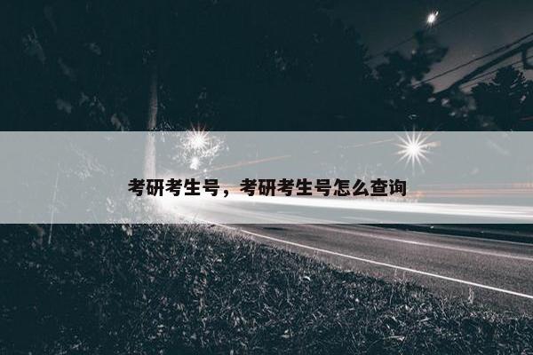 考研考生号，考研考生号怎么查询
