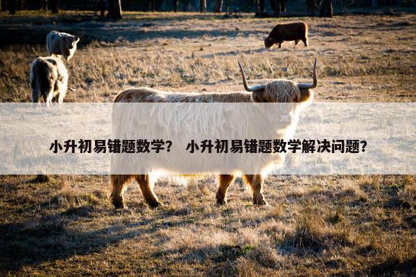 小升初易错题数学？ 小升初易错题数学解决问题？