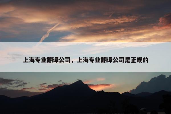 上海专业翻译公司，上海专业翻译公司是正规的