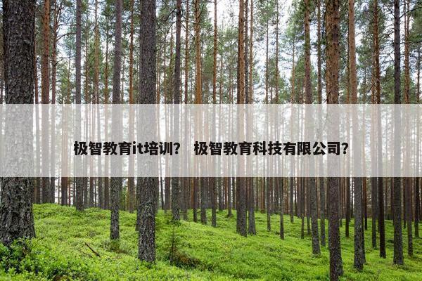 极智教育it培训？ 极智教育科技有限公司？