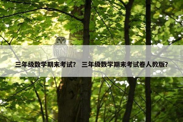 三年级数学期末考试？ 三年级数学期末考试卷人教版？