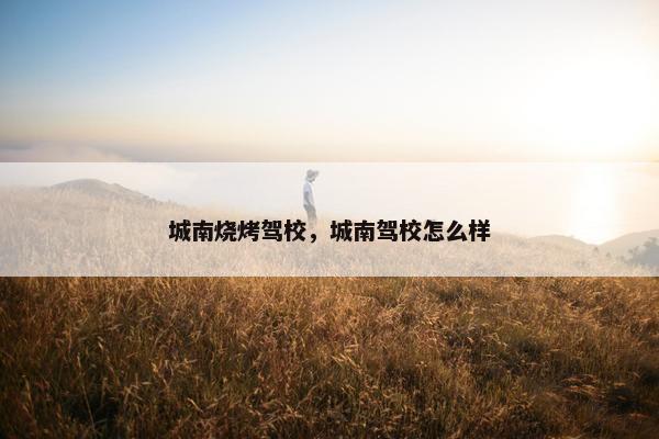 城南烧烤驾校，城南驾校怎么样