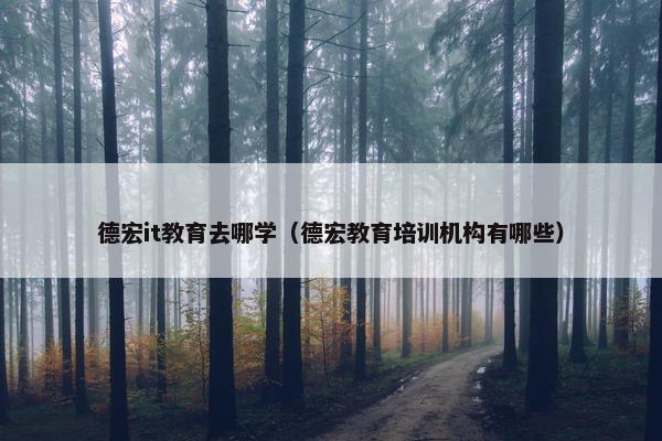 德宏it教育去哪学（德宏教育培训机构有哪些）
