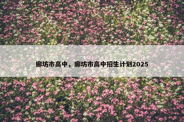 廊坊市高中，廊坊市高中招生计划2025
