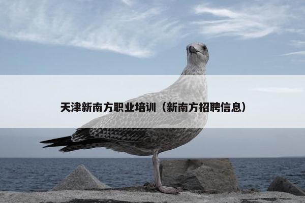 天津新南方职业培训（新南方招聘信息）