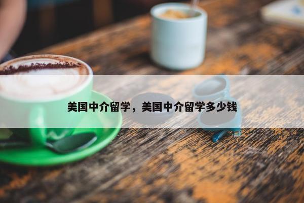 美国中介留学，美国中介留学多少钱