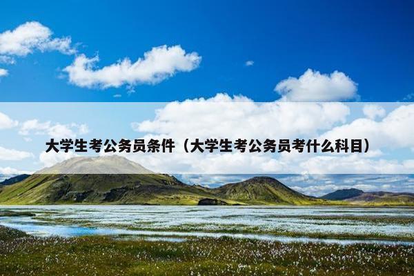 大学生考公务员条件（大学生考公务员考什么科目）
