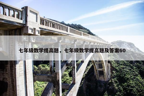 七年级数学提高题，七年级数学提高题及答案60