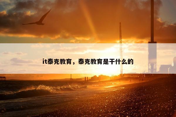it泰克教育，泰克教育是干什么的