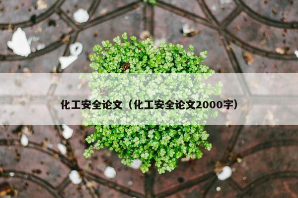 化工安全论文（化工安全论文2000字）