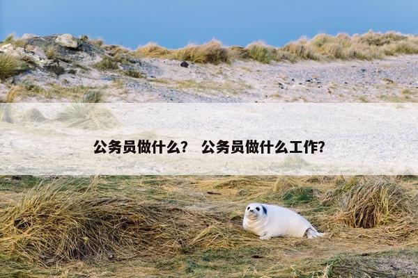 公务员做什么？ 公务员做什么工作？