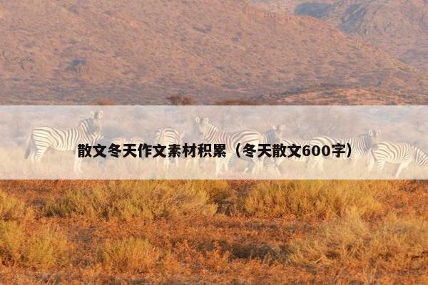 散文冬天作文素材积累（冬天散文600字）