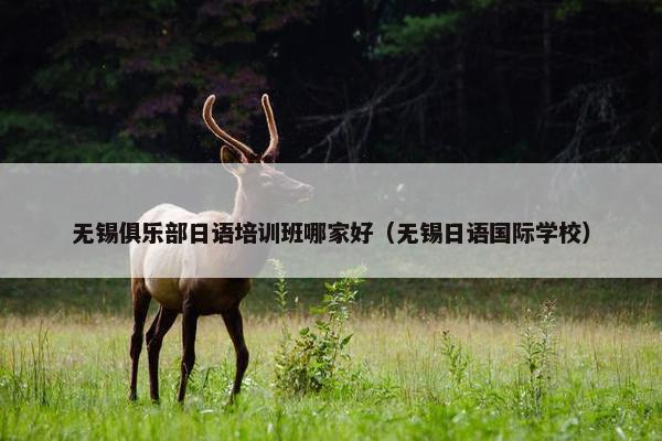 无锡俱乐部日语培训班哪家好（无锡日语国际学校）