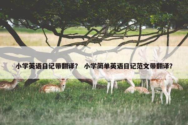小学英语日记带翻译？ 小学简单英语日记范文带翻译？