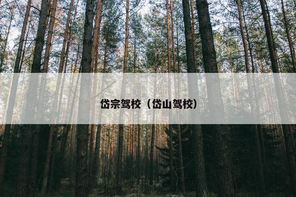岱宗驾校（岱山驾校）